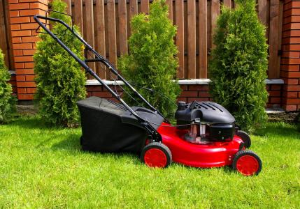 How to choose a lawn mower - types of lawn mowers and selection tips Types of grass mowers